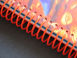 Plastic Coil